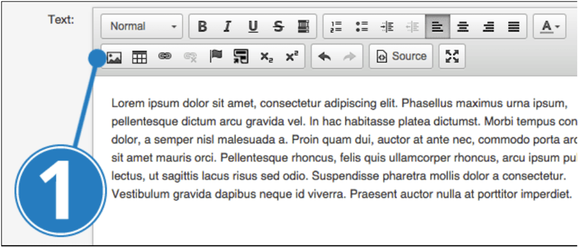 Adding an Image in the eGuides Content Editor